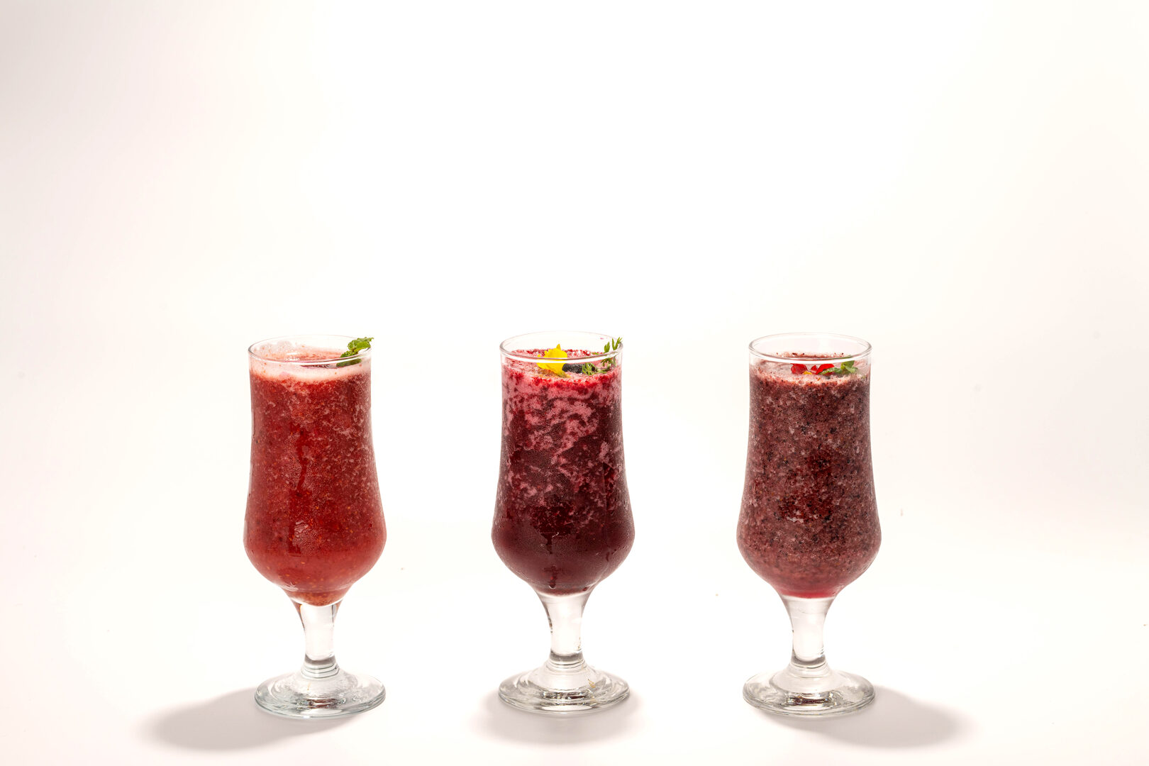 이수미팜베리 풍경 3